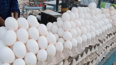 Photo of ये राज्य खिलाता है भारतीयों को सबसे ज्यादा अंडे, भर-भर के करता है सप्लाई