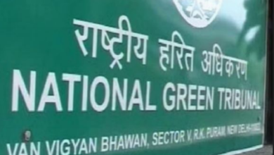 Photo of अवैध रूप से पेड़ों की कटाई-छंटाई के मामले में निगम को कड़ी फटकार