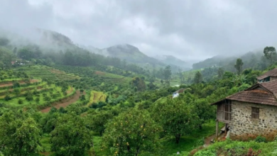 Photo of साउथ इंडिया के इस हिल स्टेशन को कहते हैं केरल का कश्मीर