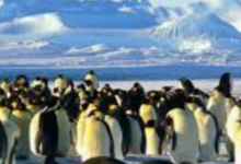 Photo of 6 महीने काम करने की सैलरी 1.31 करोड़ !