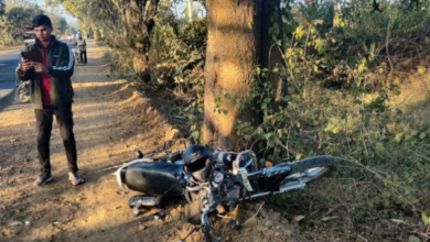 Photo of गोहपारू थाना क्षेत्र में तेज रफ्तार बाइक पेड़ से टकराई, युवक की दर्दनाक मौत