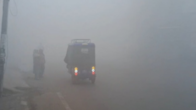 Photo of पंजाब में धुंध का कहर: दृश्यता शून्य होने से बढ़ी परेशानी, चार दिन बेहद घने कोहरे का अलर्ट