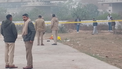 Photo of थीम पार्क में मिला बिना सिर का शव, धड़ के पास पड़ा था चाकू; पुलिस मृतक की पहचान में जुटी