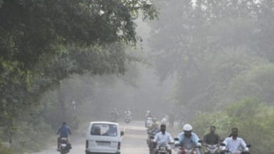 Photo of मध्यप्रदेश में कड़ाके की सर्दी का प्रकोप, पारा 4 डिग्री से नीचे