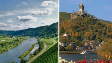 Photo of रोमन इतिहास से लेकर वर्ल्ड क्लास वाइन तक, जानिए मोसेल वैली की खासियत