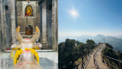 Photo of New Year पर महाकाल या पचमढ़ी जा रहे हैं? पहले ये खबर पढ़ लें