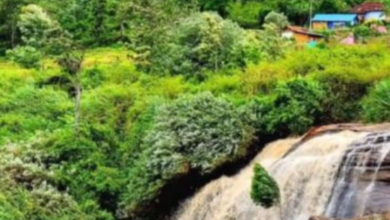 Photo of किसे कहते हैं ‘केरल का कश्मीर’? जानिए कैसे घूमें यहां