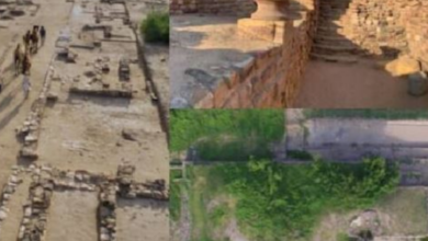 Photo of सिर्फ रण उत्सव ही नहीं, कच्छ के ये 5 ‘ऑफबीट’ डेस्टिनेशन भी हैं बेहद खास