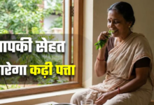 Photo of झड़ते बाल हों या बढ़ता वजन, रोज सुबह कढ़ी पत्ता खाने से 5 बड़ी परेशानियां होंगी छूमंतर