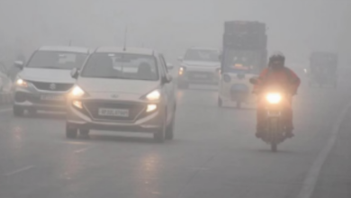 Photo of चार-पांच दिन अच्छी धूप निकलने के बाद मौसम का यूटर्न, सड़कों पर घना कोहरा