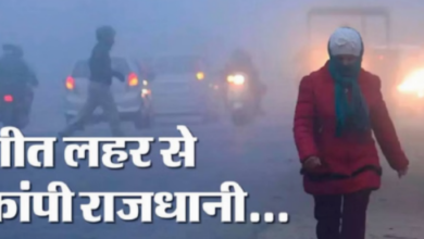 Photo of कोहरे की चादर से ढका पूरा प्रदेश, दृश्यता शून्य…गलन से जीवन बेहाल