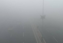 Photo of राजधानी समेत अवध क्षेत्र में सुबह-सुबह कोहरे की बारिश