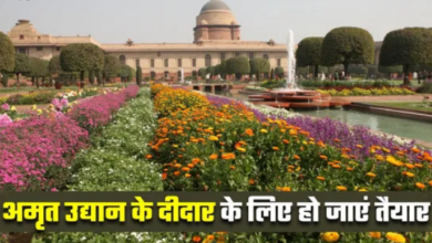 Photo of इस दिन से आम जनता के लिए खुलेगा राष्ट्रपति भवन का अमृत उद्यान, एंट्री रहेगी फ्री
