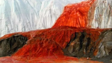 Photo of अंटार्कटिका का ‘खूनी झरना’, क्या है सफेद बर्फ के बीच बहते लाल पानी का रहस्य?
