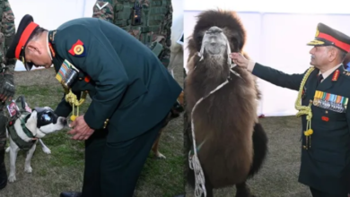 Photo of सियाचिन की बर्फीली पहाड़ियों से थार के रेगिस्तान तक, भारतीय सेना में ‘स्पेशल साथियों’ का सम्मान