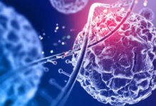 Photo of कैंसर के इलाज में बड़ी कामयाबी: IIT बॉम्बे ने खोजा टी-सेल्स को सुरक्षित रखने का नया तरीका