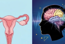 Photo of सिर्फ हॉर्मोन्स नहीं, दिमाग पर भी असर डालता है मेनोपॉज; रिसर्च में सामने आई चौंकाने वाली बात