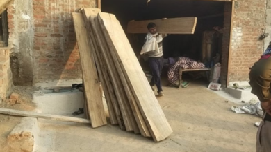 Photo of बफर क्षेत्र में अवैध सागौन की कटाई करने वाला वन रक्षक निलंबित, भारी मात्रा में सागौन जब्त