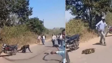 Photo of महाराष्ट्र में रेबीज से पीड़ित युवा करने लगा कुत्ते जैसी हरकतें