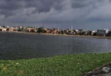 Photo of आज भी बिहार के इन जिलों में आंधी-बारिश का ऑरेंज अलर्ट