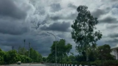 Photo of एमपी में गर्म हुआ मौसम, 35 डिग्री पार पहुंचा पारा, अप्रैल-मई में हाल और बेहाल होने के संकेत