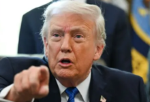 Photo of IND vs AFG: रोहित-विराट फिर एक्शन में दिखेंगे, IPL के बाद अफगानिस्तान करेगा भारत का दौरा