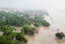 Photo of दिल्ली: इस बार पल्ला से ओखला तक यमुना की हर हलचल पर रहेगी पैनी नजर